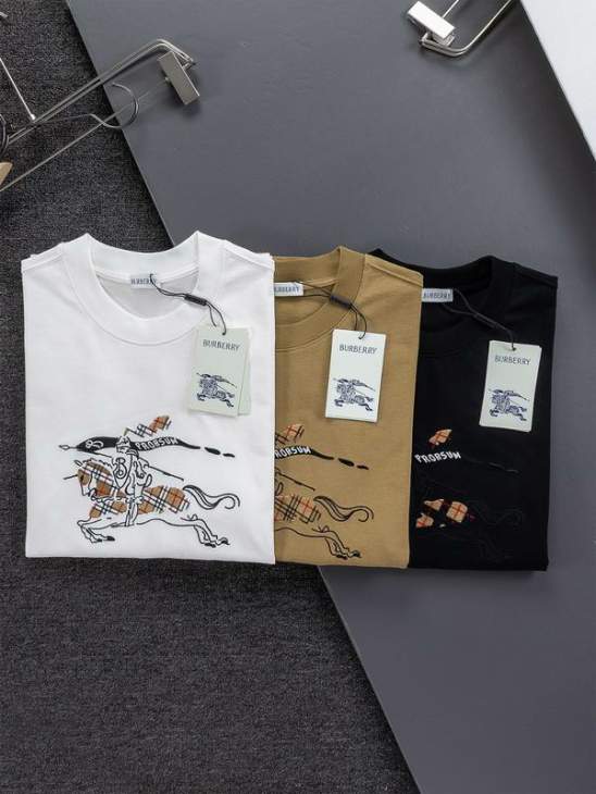Picture of Burberry T Shirts Short _SKUBurberryS-XLxetr10519442